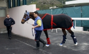 Photo 1, 2
Gun Pit sets off from Sha Tin Racecourse.
